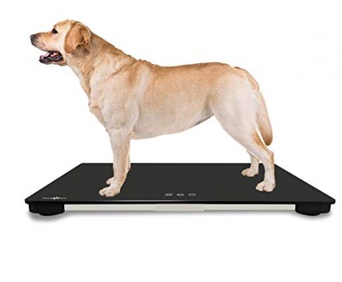 Large Dgital Pet Scale for Big Dog, 0.35 OZ Accuracy with Capacity 220 LB, Suitable for Big Dog and Many Cats Review