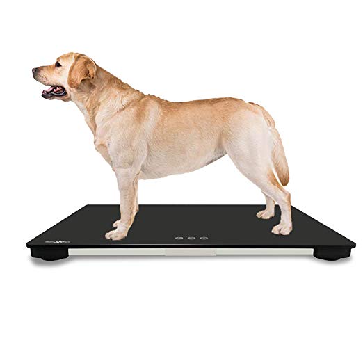 Large Dgital Pet Scale for Big Dog, 0.35 OZ Accuracy with Capacity 220 LB, Suitable for Big Dog and Many Cats