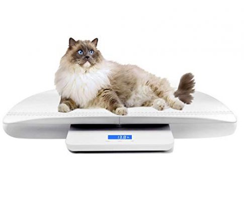 Multi-Function Digital Pet Scale to Measure Dog and Cat Weight Accurately, Precision at ± 10g, Blue backlight, especially good for Monitor Pregnant and Baby Pets Review