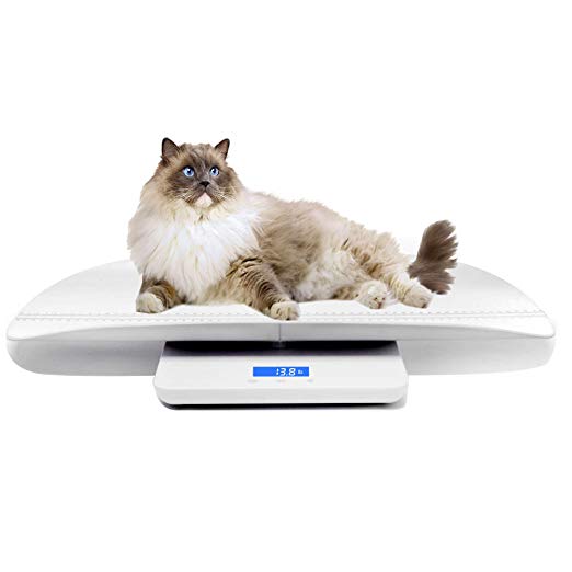 Multi-Function Digital Pet Scale to Measure Dog and Cat Weight Accurately, Precision at ± 10g, Blue backlight, especially good for Monitor Pregnant and Baby Pets